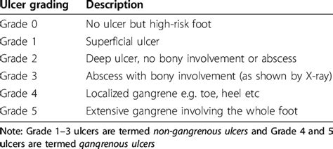 Wagner Ulcer Grade Classification Scale