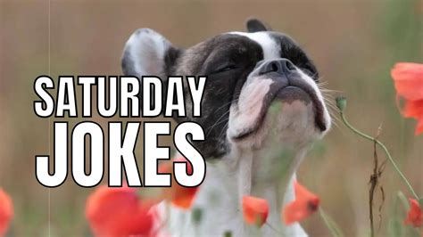 40 Saturday Jokes & Puns To Start A Weekend In 2022