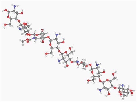 Chitosan Molecule Photograph by Laguna Design/science Photo Library