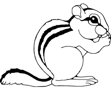 Chipmunk Coloring Pages For Kids - Coloring Home