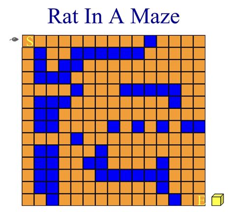 Rat in a Maze(2)