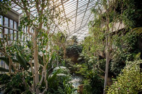 The Barbican is back – and its conservatory is now open all week