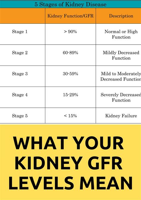 EGFR Kidney Disease Stages