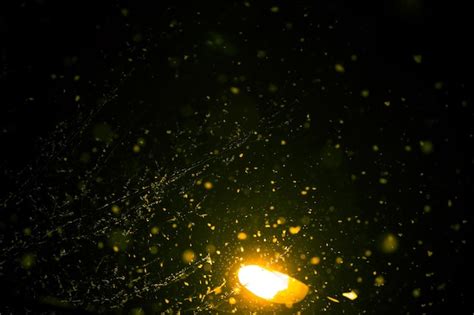 Premium Photo | Falling snow in the rays of a city street lamp