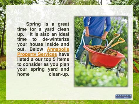 Spring yard clean up tips