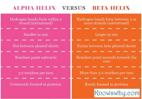 Difference between Alpha Helix and Beta Helix - KnowsWhy.com