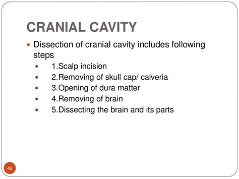 Procedure of autopsy