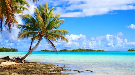 Beaches and Reefs of French Polynesia | Jacada Travel