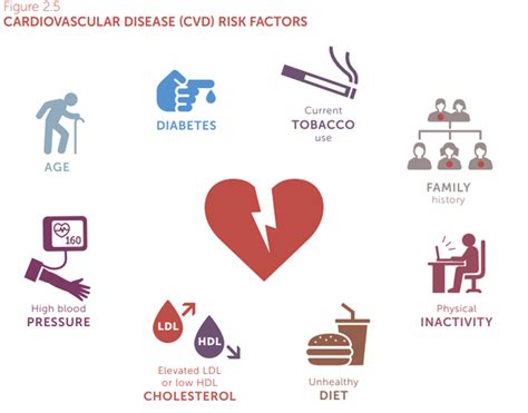 Diabetes and Heart Disease