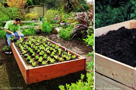 Vegetable Garden Tips - At Home with Kim Vallee