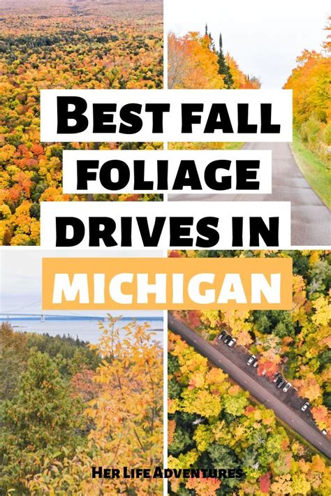 Best Fall Foliage Drives in Michigan | Fall foliage drives, Fall ...