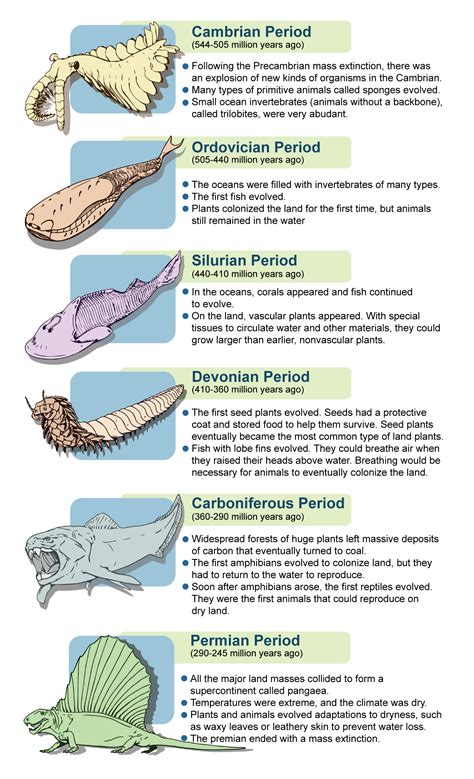 Paleozoic Era Climate Conditions