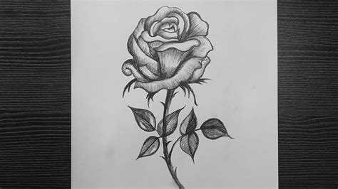 Pencil Art, Pencil Drawings, Realistic Rose, Flower Drawing, Beautiful ...