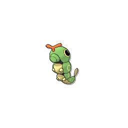 Caterpie Pokédex: stats, moves, evolution & locations | Pokémon Database