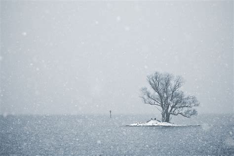 "Snowfall at Lake Constance" by tom_focus on Flickr - The photographer ...