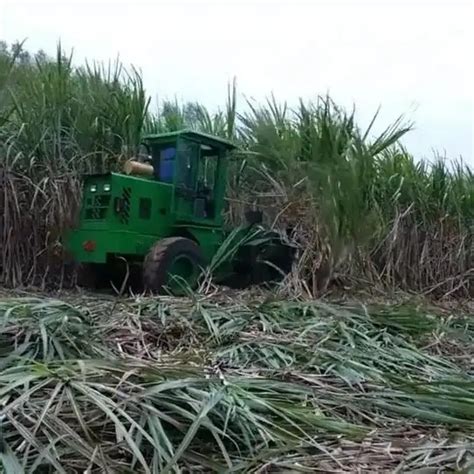 Sugar Cane Harvester Sugarcane Harvester Whole Stalk Cane Harvesting ...