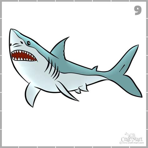 How to draw a shark in 9 easy steps | Shark drawing, Shark painting ...