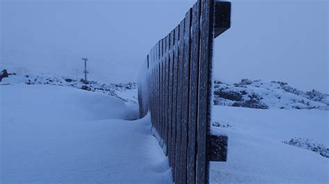 Ben Lomond National Park turns into winter wonderland after snowfall ...