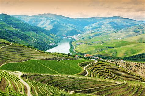 Douro Valley Tour - Portugal By Wine - Wine Tourism in Portugal