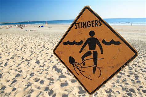 Jellyfish Sting: Symptoms, Treatments, and More - Kirk Pharmacy Cayman ...