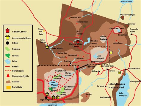 Everything You Need to Know to Visit Ngorongoro Crater Safari Guide ...