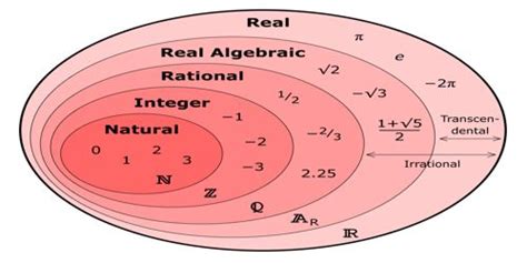 Real Numbers - Assignment Point