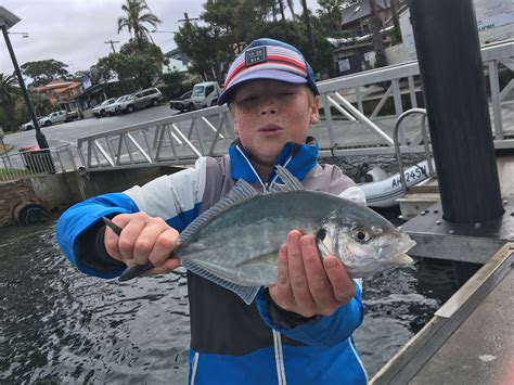 Yowie Bay Boat Ramp 29/06/21 - Fishing Reports - DECKEE Community