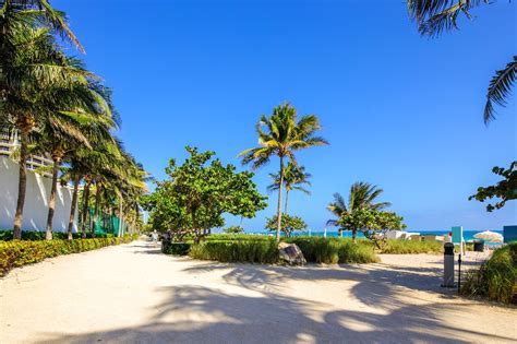 Bal Harbour Beach - Soak In the Sun, Sand and Surf at This Tranquil ...