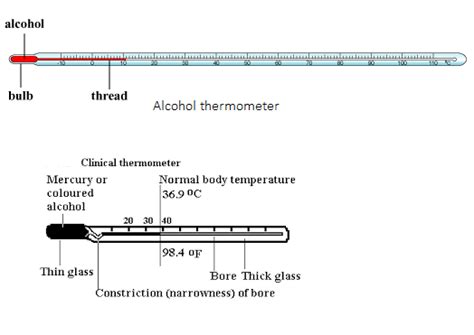 Draw a well labelled diagram of a laboratory thermometer.