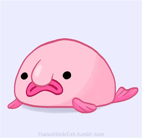 blob with it - Google Search | Blobfish, Cartoon fish, Fish drawings