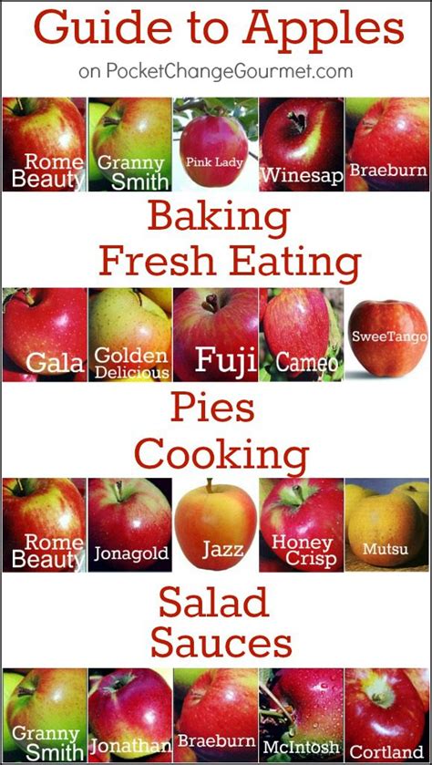 best apples for apple pie chart