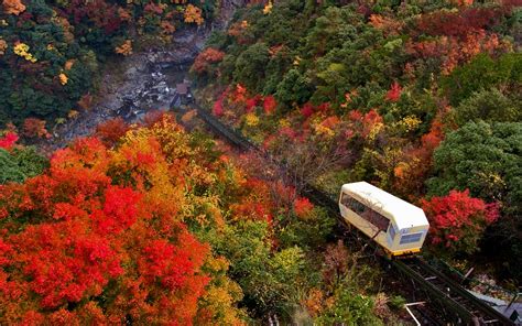 10 Places to Experience the Best of Autumn in Japan in 2019 - GaijinPot