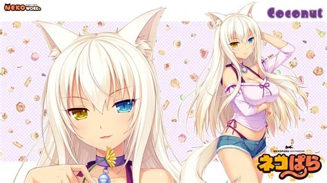 Neko Para, Coconut (Nekopara), Sayori, Nekomimi, Neko Works Wallpapers ...