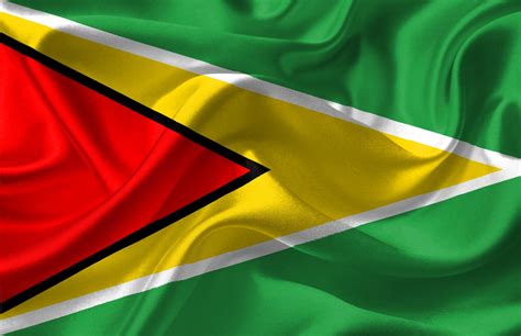 Guyana Flag Art Print by NeedThreads - X-Small Healthy Work Snacks ...