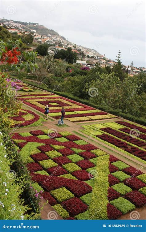 Botanical Garden Funchal City Editorial Stock Image - Image of garden ...