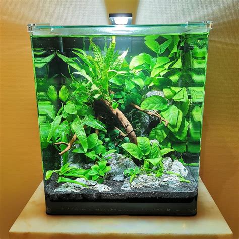 𝘼𝙦𝙪𝙖𝙧𝙞𝙚𝙣𝙛𝙧𝙚𝙪𝙣𝙙𝙚 𝙒𝙚𝙨𝙚𝙡 𝙚.𝙑 🐠 on Instagram: “Nano Cube #aquascaping # ...