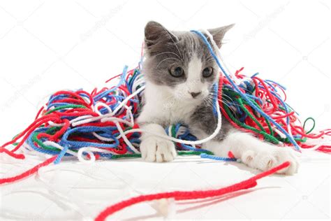 Kitten playing with yarn Stock Photo by ©SSilver 9437459