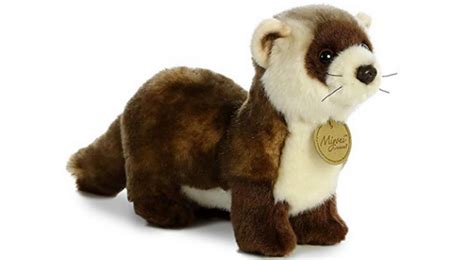 Plush Ferret Toys | Ferrets Best