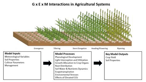 Cropping Systems In Agriculture And Their Impact On Soil, 58% OFF