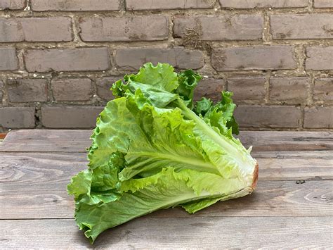 Green Leaf, Lettuce - Ea - Giordano Garden Groceries