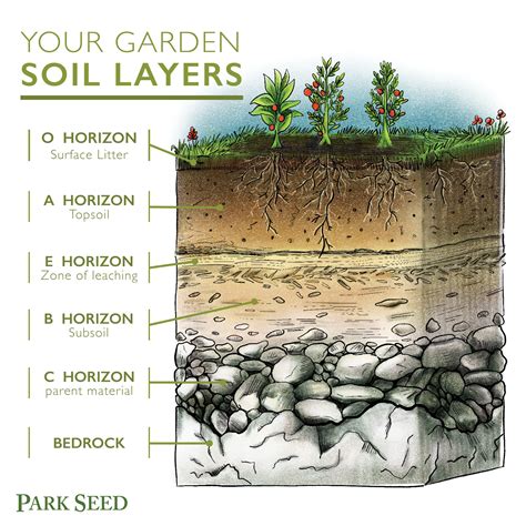 Terrarium Layers Diagram