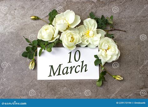 March 10th. Day 10 of Month, Calendar Date. White Roses Border on ...