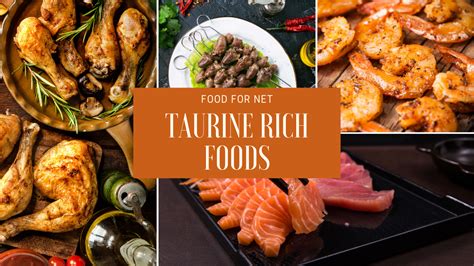 12 Taurine Rich Foods And Why You Might Want Them | Food For Net