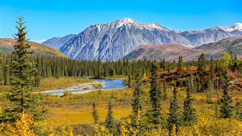 Denali National Park - Alaska holidays - Steppes Travel