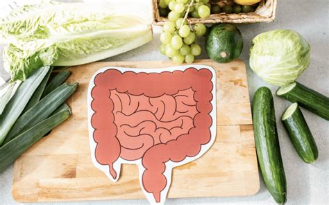 Digestive Enzymes vs. Probiotics: What You Need to Know