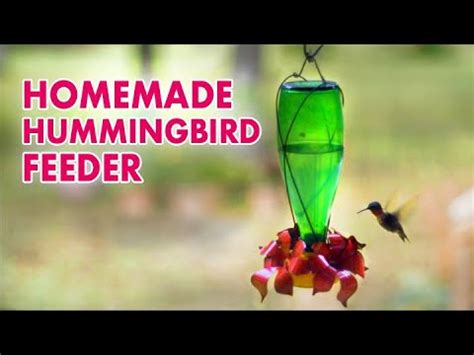 How I made a HUMMINGBIRD FEEDER – starkidslearn.com