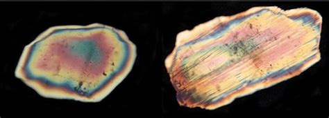 K-T Boundary - Geology of Wyoming