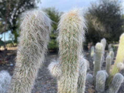 Conejo Valley Botanic Garden - Hidden California