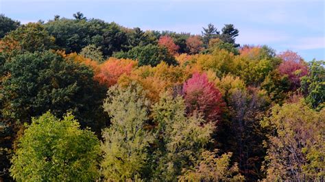 Vermont fall foliage 2020: See interactive maps of changing colors