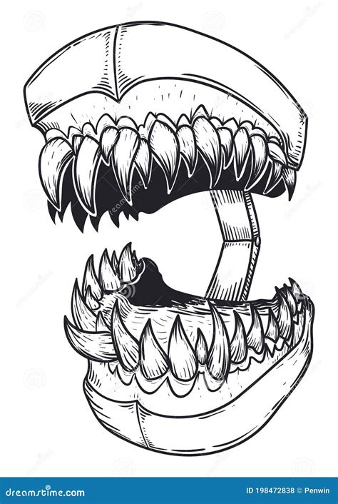 Drawing of Fierce Teeth Model with Sharp Teeth, Vector Illustration ...